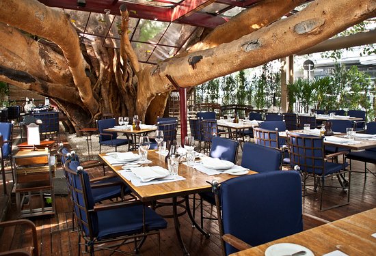 Restaurante Figueira Rubayat